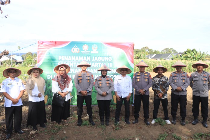 dukung-asta-cita,-polres-limapuluh-kota-tanam-jagung-serentak-di-nagari-koto-tuo dukung-asta-cita,-polres-limapuluh-kota-tanam-jagung-serentak-di-nagari-koto-tuo
