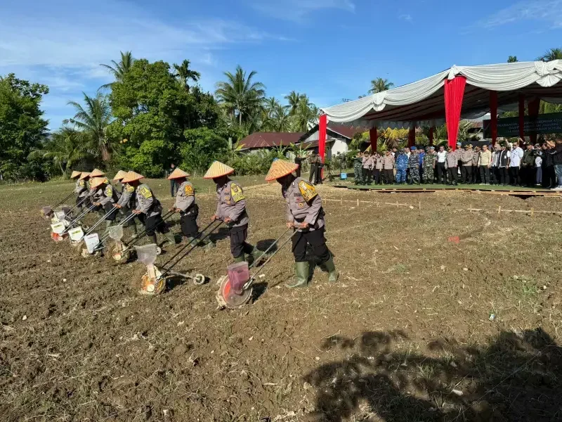 polda-sumbar-dorong-penanaman-jagung-sebagai-penyangga-ketahanan-pangan polda-sumbar-dorong-penanaman-jagung-sebagai-penyangga-ketahanan-pangan