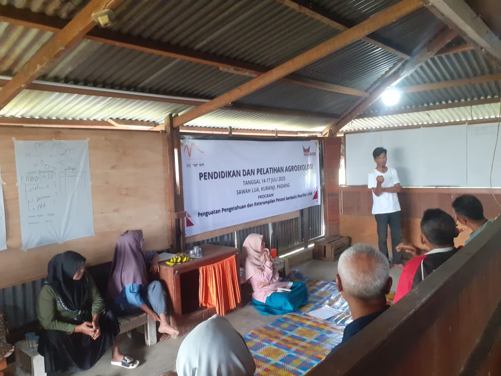 petani-padang-bangkit:-menanam-harapan-dari-pondok-agroekologi-sawah-lua petani-padang-bangkit:-menanam-harapan-dari-pondok-agroekologi-sawah-lua