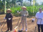 rahmat-saleh-:-lahan-tidur-harus-jadi-sumber-pangan-produktif 