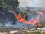 hotspot-menurun,-gubernur-riau-tetap-minta-warga-siaga-hadapi-ancaman-karhutla