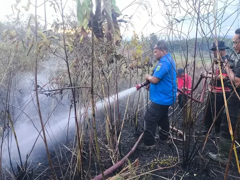 pemprov-sumbar-tetapkan-status-siaga-darurat-karhutla-60-hari pemprov-sumbar-tetapkan-status-siaga-darurat-karhutla-60-hari