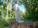 program-dinas-pertanahan-;-amankan-aset-pemko-padang,-tanda-patok-tanah-dipasang