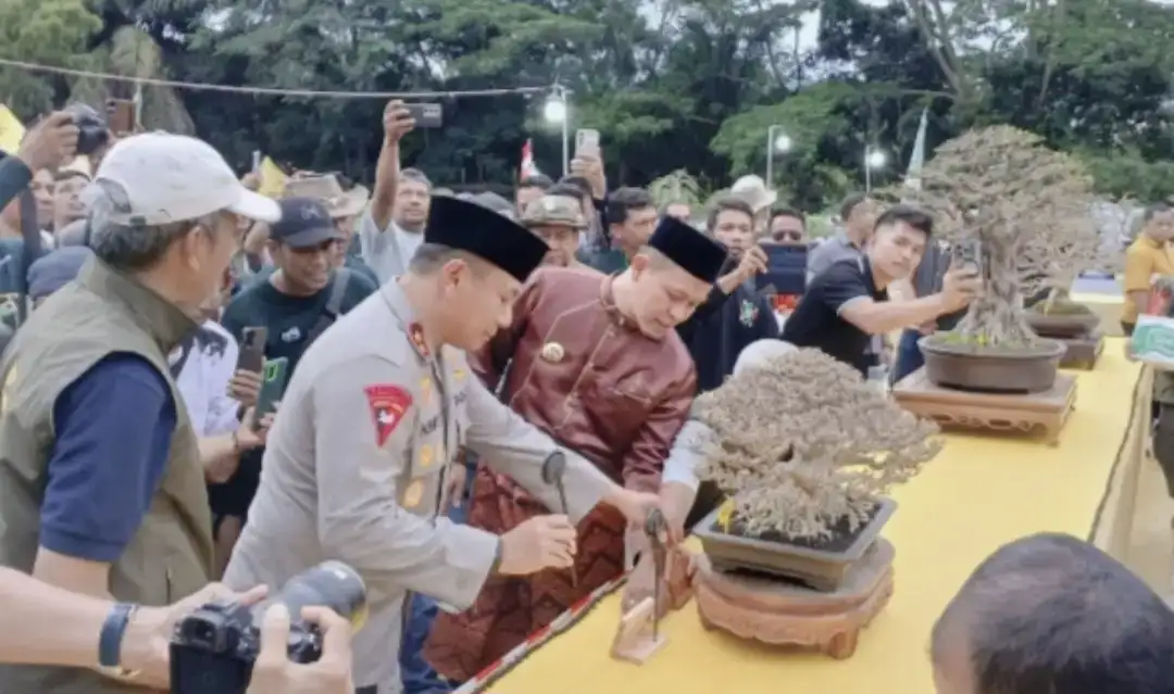 pameran-pesona-bonsai-2025,-ppbi-riau-hadirkan-433-pohon-bonsai-terbaik