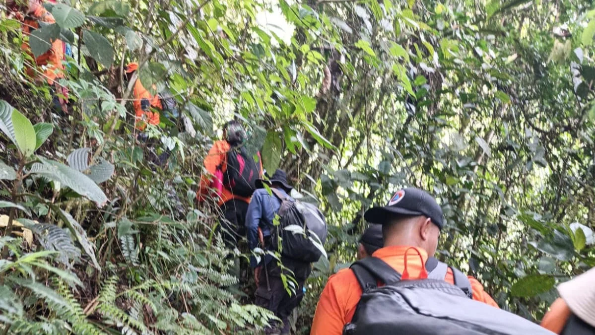 tim-sar-sisir-hutan,-cari-dua-pemuda-hilang-di-solok