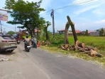 anggota-dprd-meradang,-kecam-penebangan-pohon-tanpa-koordinasi-di-jalur-jalan-raya-parak-laweh-pulau-aia-nan-xx