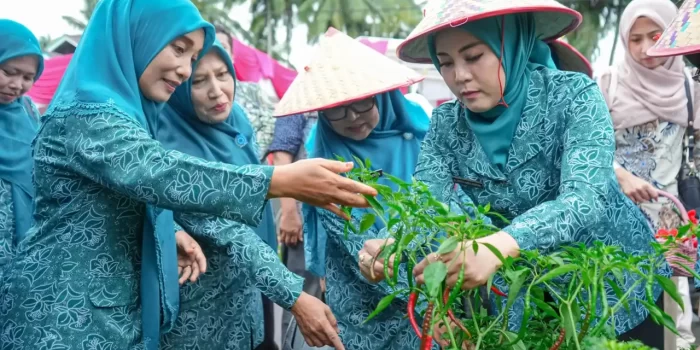 tp-pkk-sumbar-lakukan-penilaian-lapangan-lomba-dasawisma-berprestasi-tingkat-provinsi-di-pasaman-barat