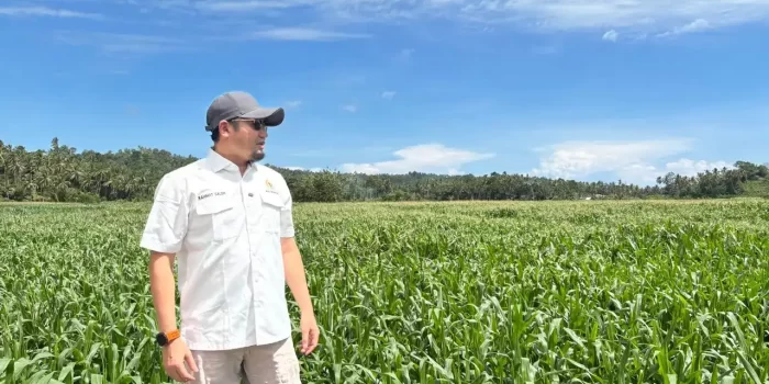 produksi-jagung-sumbar-digenjot,-rahmat-saleh-pasang-target-4.000-hektar-di-tahun-2026