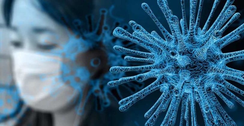 kemenkes-catat-23-kasus-hantavirus-di-indonesia kemenkes-catat-23-kasus-hantavirus-di-indonesia