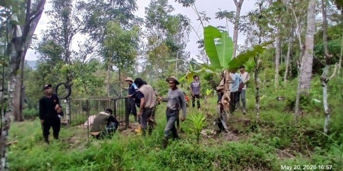 harimau-muncul-di-batang-palupuah-agam,-warga-ketakutan