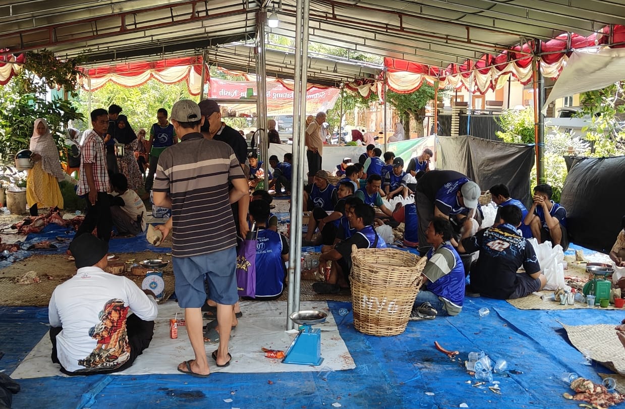 jamaah-arisan-50-ribu-per-minggu,-musala-nurul-yakin-padang-kurban-14-ekor-sapi jamaah-arisan-50-ribu-per-minggu,-musala-nurul-yakin-padang-kurban-14-ekor-sapi