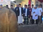 bupati-hendrajoni-serahkan-sapi-kurban-presiden-prabowo-subianto-seberat-968-kilogram bupati-hendrajoni-serahkan-sapi-kurban-presiden-prabowo-subianto-seberat-968-kilogram