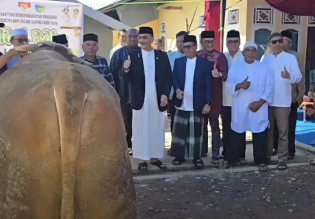bupati-hendrajoni-serahkan-sapi-kurban-presiden-prabowo-subianto-seberat-968-kilogram bupati-hendrajoni-serahkan-sapi-kurban-presiden-prabowo-subianto-seberat-968-kilogram