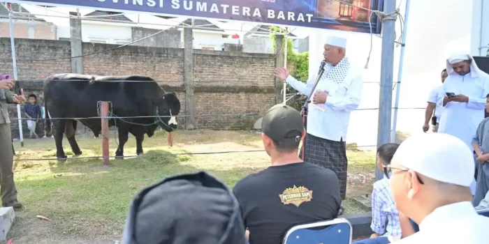 gubernur-mahyeldi-hadiri-penyembelihan-sapi-kurban-bantuan-presiden-ri-di-masjid-raya-syekh-khatib-al-minangkabawi