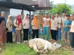 dpw-tani-merdeka-sumbar-sembelih-hewan-kurban-idul-adha-1447-h-di-kecamatan-bungtekab dpw-tani-merdeka-sumbar-sembelih-hewan-kurban-idul-adha-1447-h-di-kecamatan-bungtekab