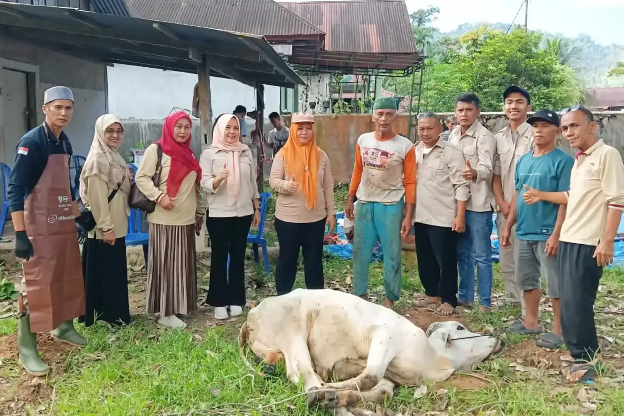 dpw-tani-merdeka-sumbar-sembelih-hewan-kurban-idul-adha-1447-h-di-kecamatan-bungtekab dpw-tani-merdeka-sumbar-sembelih-hewan-kurban-idul-adha-1447-h-di-kecamatan-bungtekab