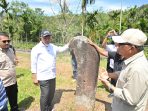 tinjau-situs-menhir-maek,-gubernur-mahyeldi:-bukti-peradaban-tua-minangkabau