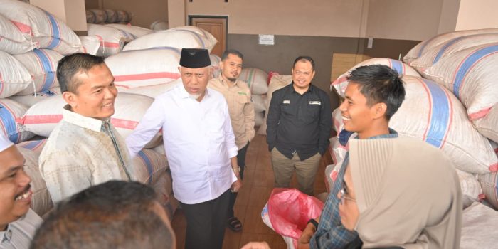 gubernur-mahyeldi:-investasi-pengolahan-pinang-gerakkan-ekonomi-masyarakat