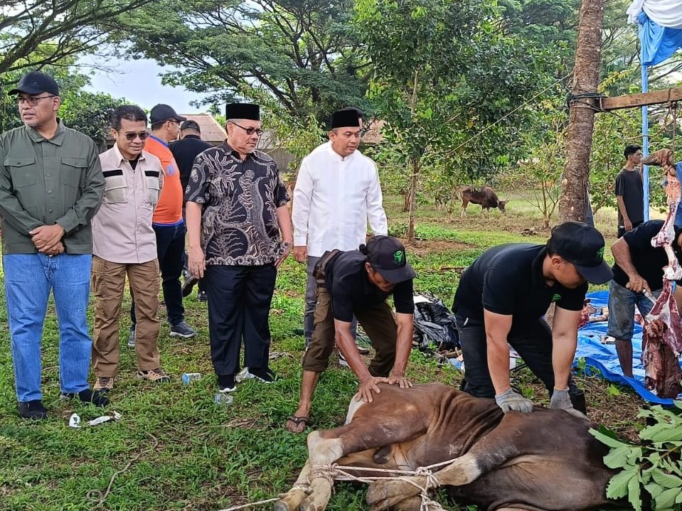bank-nagari-salurkan-puluhan-hewan-kurban-bagi-masyarakat-sumbar bank-nagari-salurkan-puluhan-hewan-kurban-bagi-masyarakat-sumbar