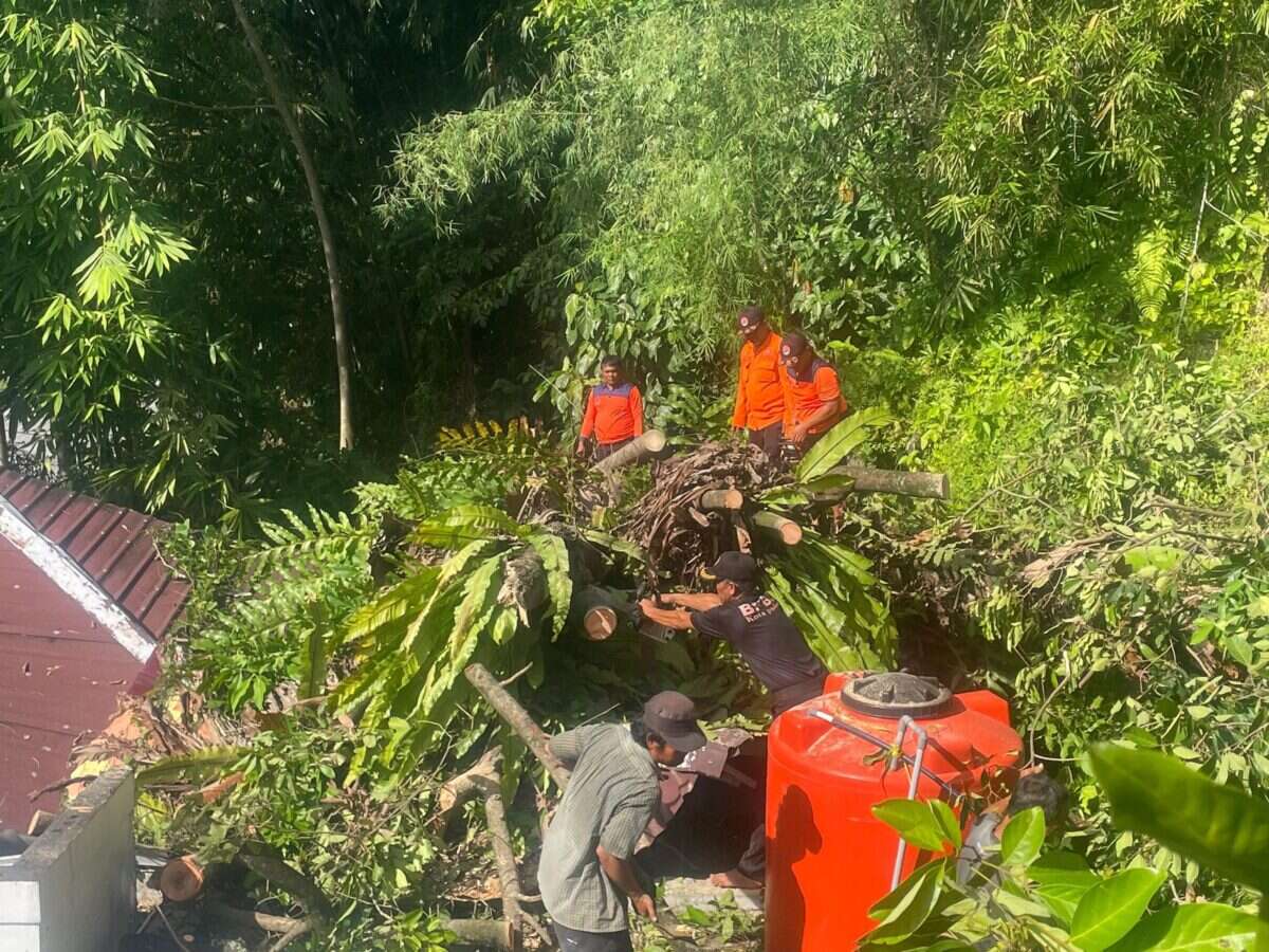 WhatsApp Image 2026-05-21 at 13.14.26 (1)