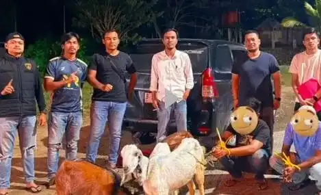 polres-sawahlunto-tangkap-dua-pelaku-pencurian-ternak-warga polres-sawahlunto-tangkap-dua-pelaku-pencurian-ternak-warga