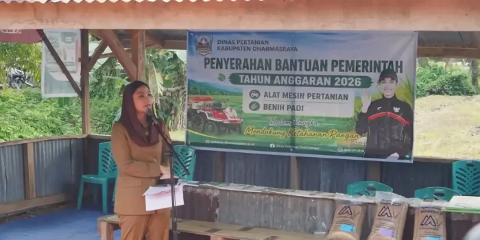 pemkab-dharmasraya-salurkan-traktor-dan-benih-padi-perkuat-produktivitas-pertanian