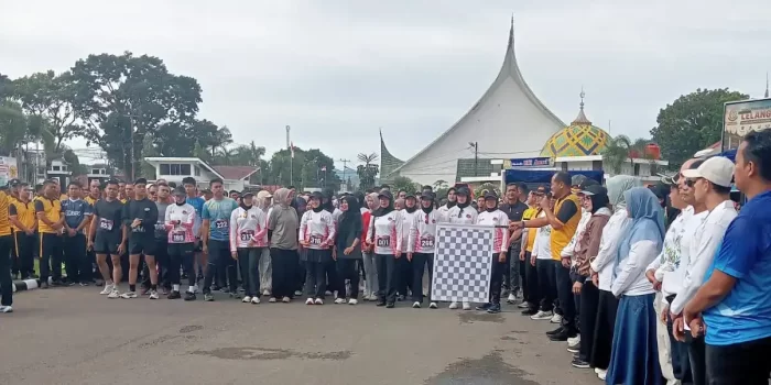 ribuan-peserta-ikuti-gerak-jalan-sehat-di-lubuk-sikaping-memperingati-hani-tahun-2026