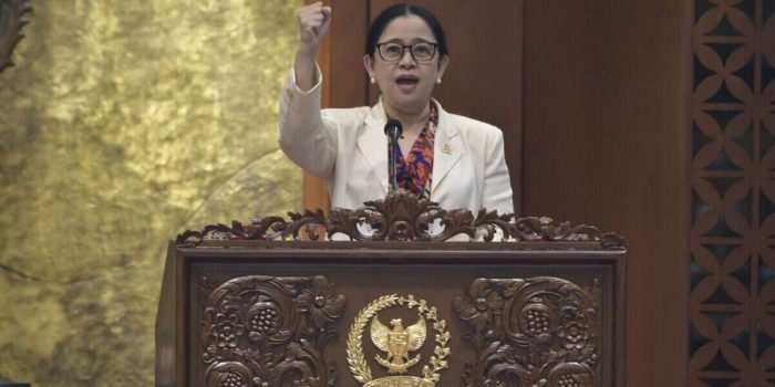 Ketua DPR RI Dr. (H.C.) Puan Maharani. Foto: Dok/Karisma