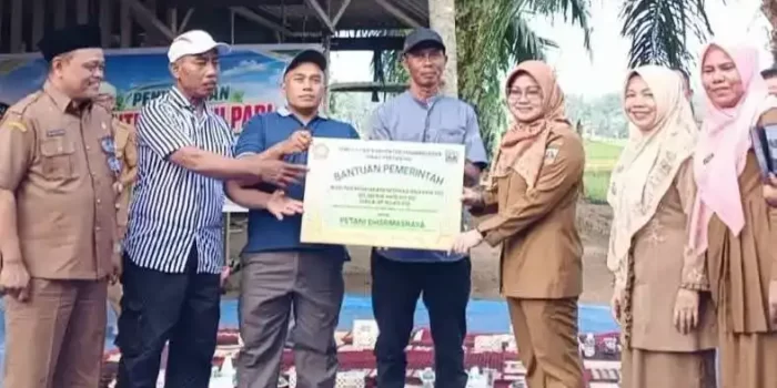 pemkab-dharmasraya-salurkan-12,5-ton-benih-padi-biofortifikasi-untuk-petani