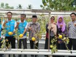 pln-dukung-kube-mego.id-kembangkan-pertanian-melon,-maigus-nasir:-jadi-percontohan-bagi-kelompok-lain pln-dukung-kube-mego.id-kembangkan-pertanian-melon,-maigus-nasir:-jadi-percontohan-bagi-kelompok-lain