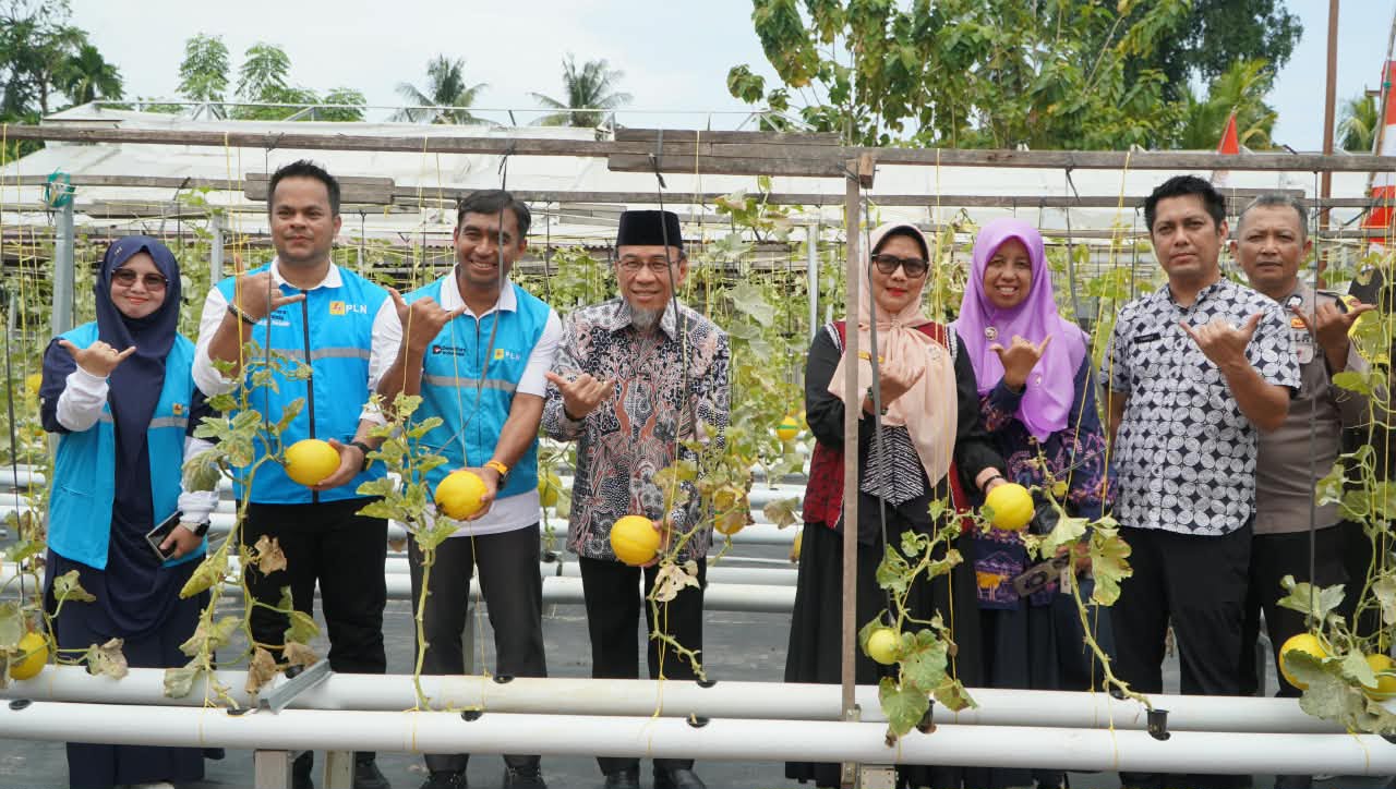 pln-dukung-kube-mego.id-kembangkan-pertanian-melon,-maigus-nasir:-jadi-percontohan-bagi-kelompok-lain pln-dukung-kube-mego.id-kembangkan-pertanian-melon,-maigus-nasir:-jadi-percontohan-bagi-kelompok-lain