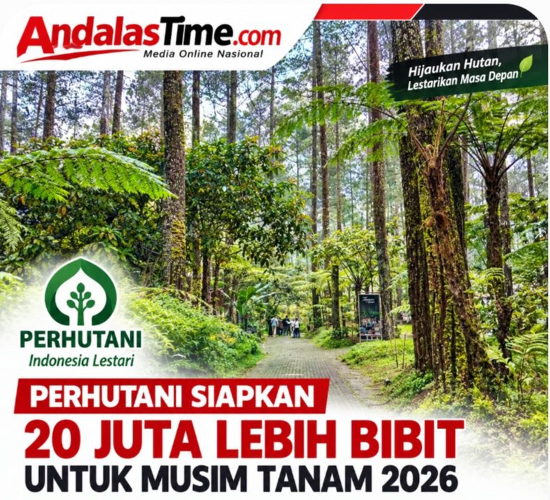perhutani-siapkan-20-juta-lebih-bibit-untuk-musim-tanam-2026 perhutani-siapkan-20-juta-lebih-bibit-untuk-musim-tanam-2026